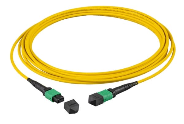 EFB Elektronik MTPF48MTPFOS2-25-A, 25 m, OS2, MTP, MTP, MTP
