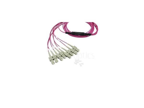 BlueOptics SFP6142FU2MKB, 2 m, OM4, MTP, 4x SC