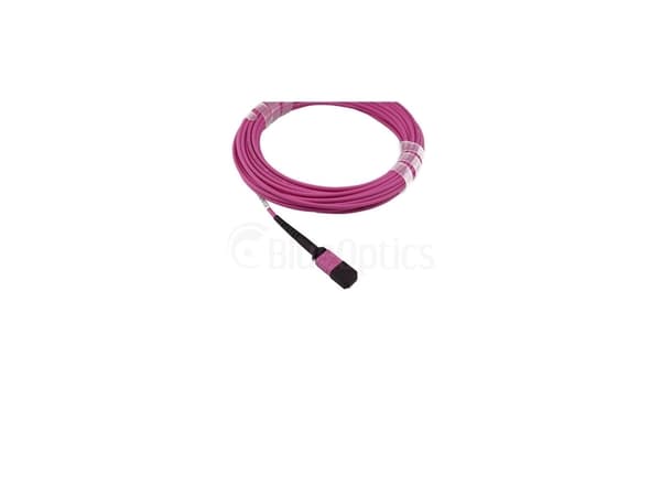 BlueOptics SFP6142FU2MKB, 2 m, OM4, MTP, 4x SC