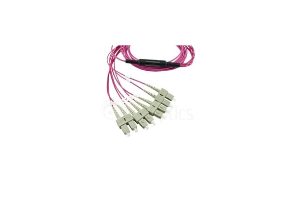 BlueOptics SFP6142FU2MKB, 2 m, OM4, MTP, 4x SC