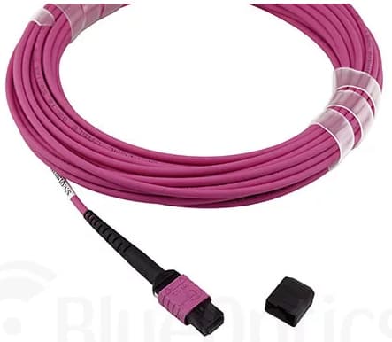 BlueOptics CBX-STC012BPF-MXXN-MXXN-001M-BO, 1 m, OM4, MTP, MTP