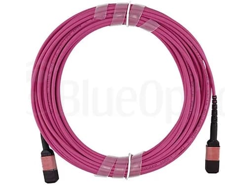 BlueOptics CBX-STC012BPF-MXXN-MXXN-001M-BO, 1 m, OM4, MTP, MTP