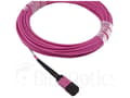 Miniatyrbilde 2 av 5: BlueOptics CBX-STC012BPF-MXXN-MXXN-001M-BO, 1 m, OM4, MTP, MTP