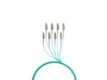 Miniatyrbilde 3 av 5: EFB Elektronik stammekabel U-DQ ZN BH OM3 8G 1x8 LC-LC 100m Dca LSZH - kabel - 100 m (O8322S100OM3)