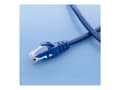 Pikkukuva 3 / 5: QOLTEC 54533 Kabel Patchcord UTP / CAT6 / 2 x RJ45 / 3m