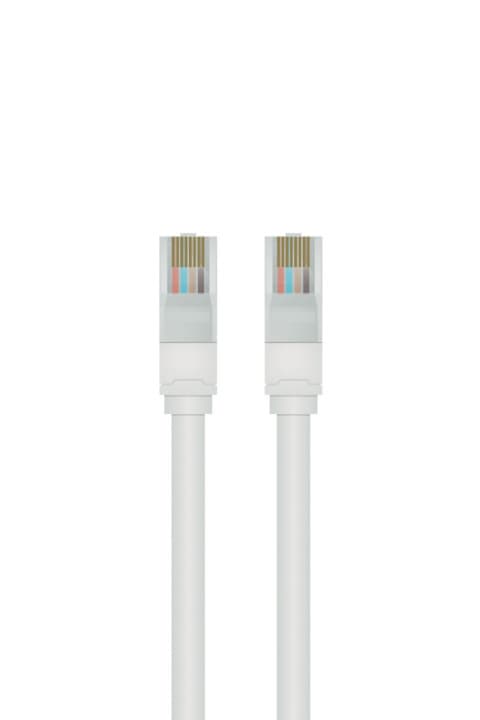 QNECT UTP liitäntäkaapeli CAT 5e, 1m, valkoinen