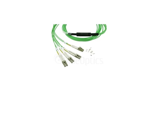 BlueOptics SFP6141GU3MKB, 3 m, OM5, MTP, 4x LC