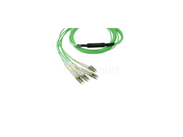 BlueOptics SFP6141GU3MKB, 3 m, OM5, MTP, 4x LC