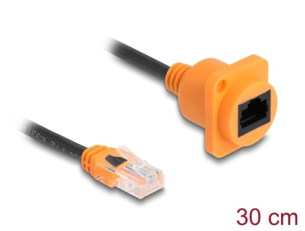 DeLOCK 90804, 0,3 m, Cat5e, U/UTP (UTP), RJ-45, RJ-45, Sort, Oransje