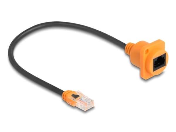 DeLOCK 90804, 0,3 m, Cat5e, U/UTP (UTP), RJ-45, RJ-45, Sort, Oransje