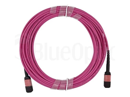 BlueOptics 470-ABOK kompatibles MPO-MPO Multimode OM4 Patchkabel 1 Meter (470-ABOK-BO)