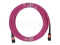 Pikkukuva 5 / 5: BlueOptics 470-ABOK kompatibles MPO-MPO Multimode OM4 Patchkabel 1 Meter (470-ABOK-BO)