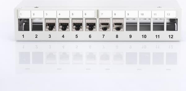 DIGITUS Professional DN-93706 - Patch Panel - RJ-45 X 12 - Lysegrå, RAL 7035