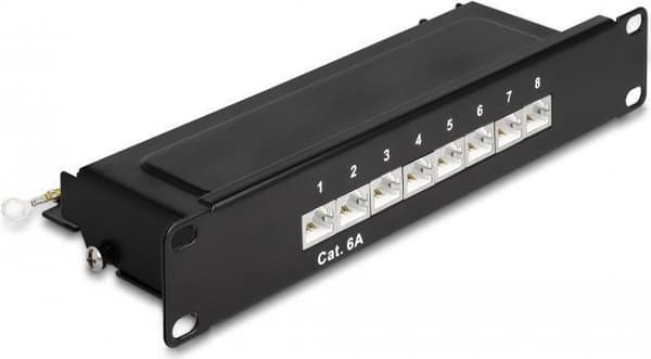 Delock - Patch Panel - Rack monteres - CAT 6a - RJ-45 X 8, LSA X 8 - sort - 1U - 25,4 cm (10")