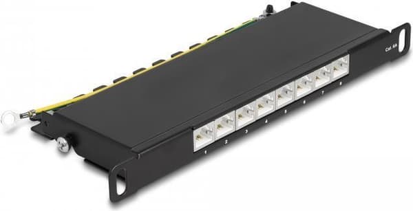 Delock - Patch Panel - Telineeseen asennettava - CAT 6a - RJ-45 X 8, LSA X 8 - musta - 0,5U - 25,4 cm (10")