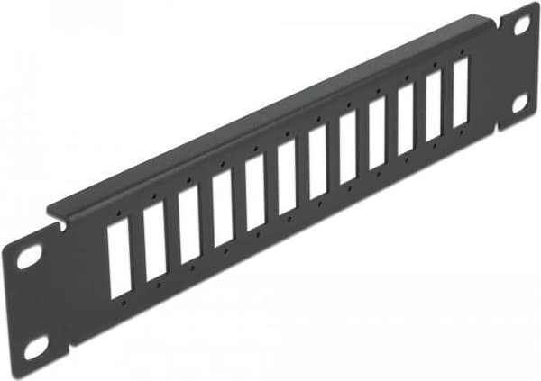Delock - Patch panel (dummy plade) - sort - 1U - 25,4 cm (10") - 12 porte (66802)