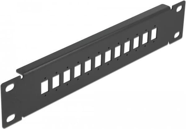 Delock - Patch panel (dummy plade) - sort - 1U - 25,4 cm (10") - 12 porte (66801)