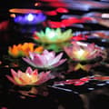 Miniatyrbillede 3 af 5: Flydende LED-belysning lotusblomst til pool og spa - 3-farvet