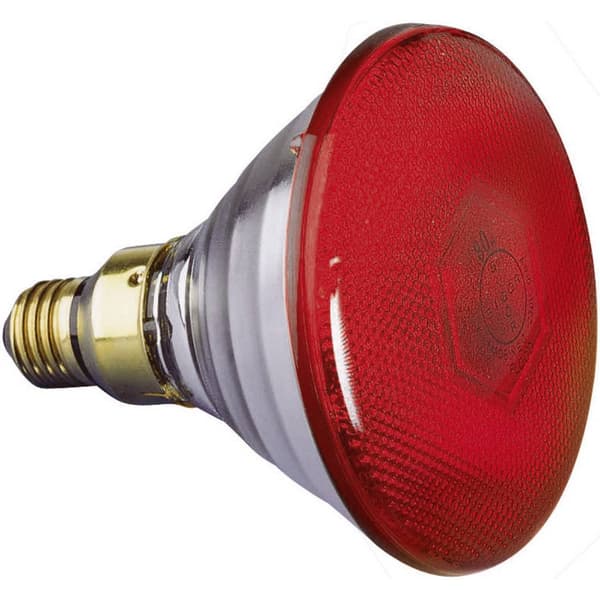 Eurolite Par-38 FL rot Halogen ljuseffektslampa 230 V E27 80 W Röd dimbar