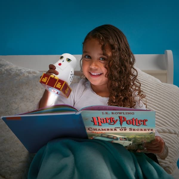Harry Potter Hedwig Nattlampa och lykta Figur
