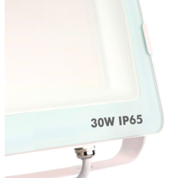 Silver Sanz Led Spotlight Ip65 30w Transparent