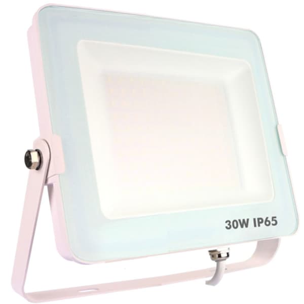Silver Sanz Led Spotlight Ip65 30w Transparent