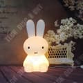 Miniatyrbild 1 av 4: TD® 50CM Kanin Led Nattljus Dimbar för Barn Baby Barn Present Tecknad Djur Dekorativ Lampa Bedside Sovrum