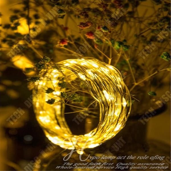 LED Ljusgirland - Tech Discount® - 100 LEDs - Fjärrkontroll - 10m - IP44