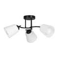 Miniatyrbillede 2 af 4: Indbygget spotlight Activejet AJE-ALMA 3P 120 W 40 W