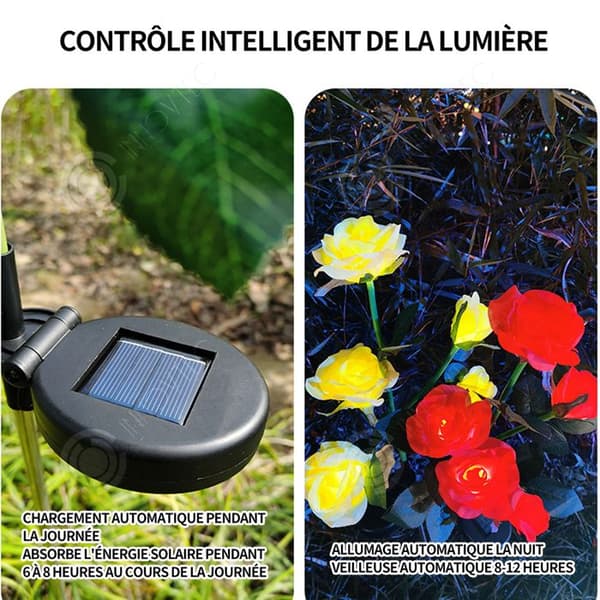 INN Utomhussollampa IP65 utomhussolfläck rosa sol utomhussollampa trädgård vattentätt ljus för utomhus
