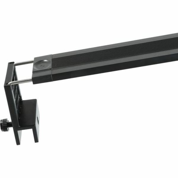 LED-bånd Zolux 300 cm Kold hvid