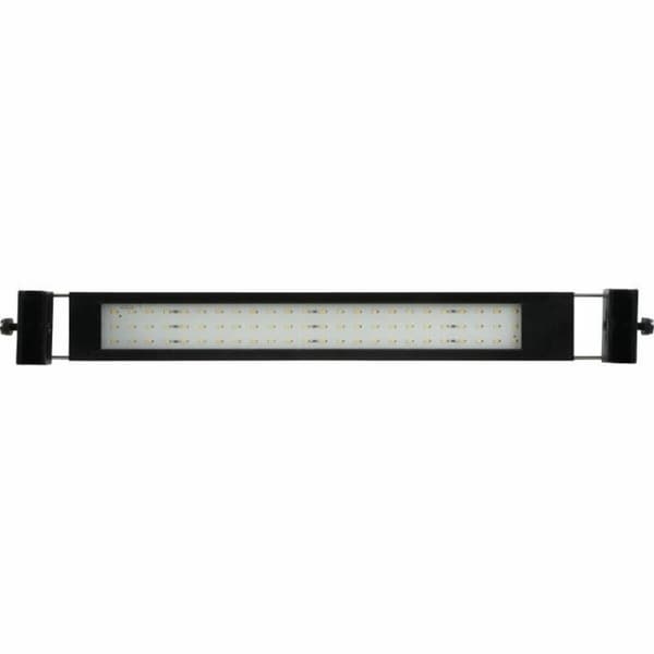 LED-bånd Zolux 1 m