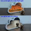 Miniatyrbillede 2 af 6: OBOSOE LED Lampe / Natlys Bordlampe Dekorativ