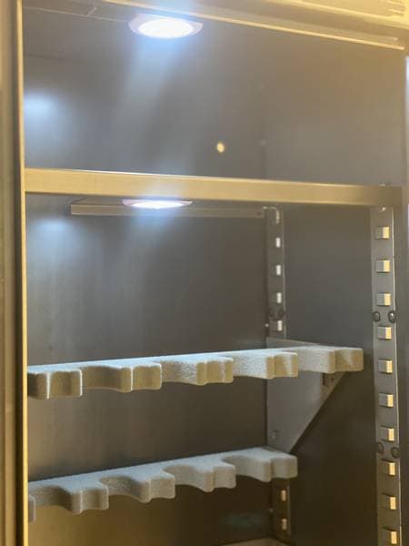 Led Light Up Motion (3pk)