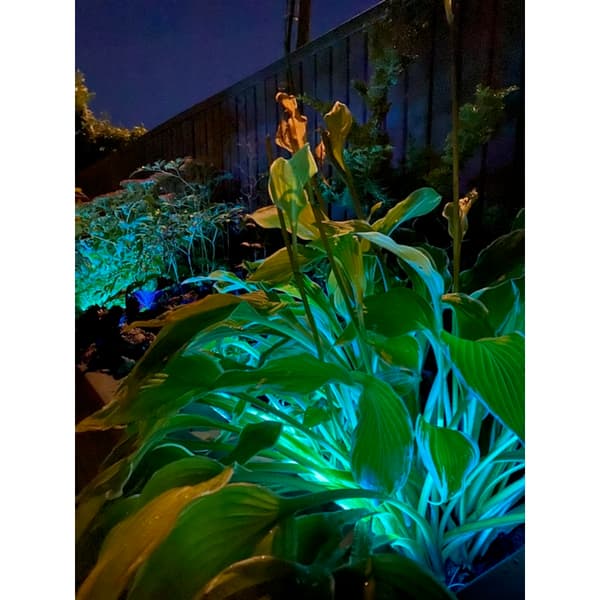 Namron LED Strip COB RGB+W 5m IP65 IR