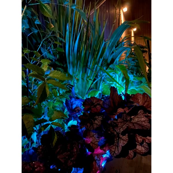 Namron LED Strip COB RGB+W 5m IP65 IR