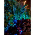 Miniatyrbilde 6 av 11: Namron LED Strip COB RGB+W 5m IP65 IR