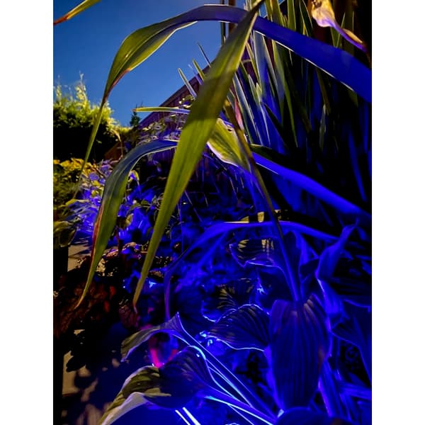 Namron LED Strip COB RGB+W 5m IP65 IR