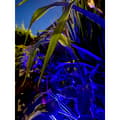 Miniatyrbilde 7 av 11: Namron LED Strip COB RGB+W 5m IP65 IR