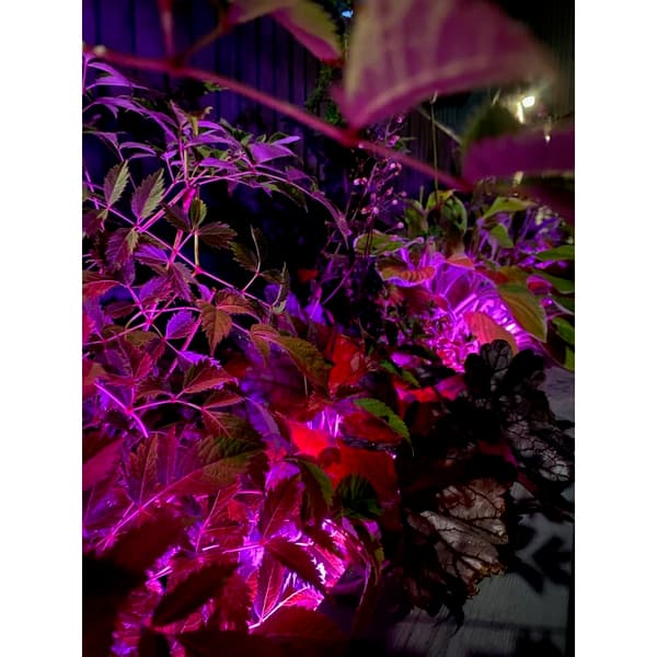 Namron LED Strip COB RGB+W 5m IP65 IR