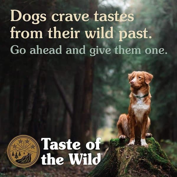 Taste of the wild - 9221 - Wetlands Formula i sås 12 x 390 g
