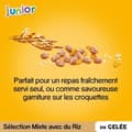 Miniatyrbild 4 av 4: PEDIGREE Junior 48 Fresh Jelly Sachets 4 varianter för valp 100g (4x12)