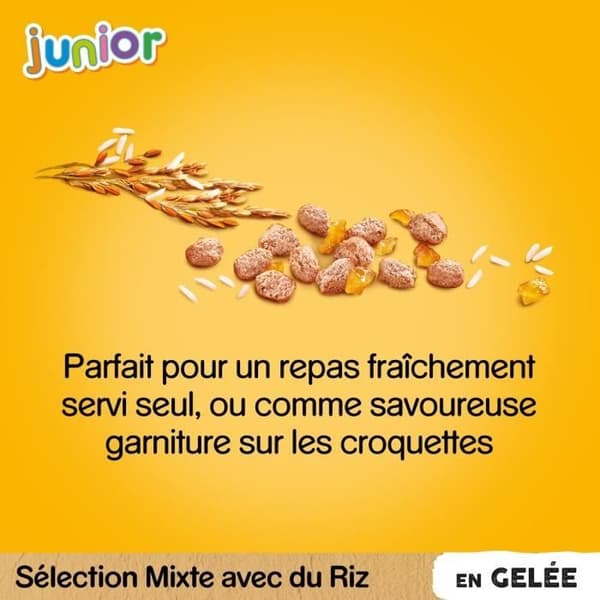 PEDIGREE Junior 48 Fresh Jelly Sachets 4 varianter för valp 100g (4x12)
