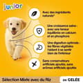 Miniatyrbild 2 av 4: PEDIGREE Junior 48 Fresh Jelly Sachets 4 varianter för valp 100g (4x12)