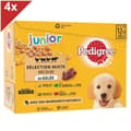 Miniatyrbild 1 av 4: PEDIGREE Junior 48 Fresh Jelly Sachets 4 varianter för valp 100g (4x12)