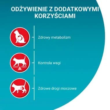 PURINA One Sterilcat Wołowina - torrfoder för katter - 9,75 kg