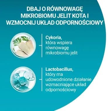 PURINA One Sterilcat Wołowina - torrfoder för katter - 9,75 kg