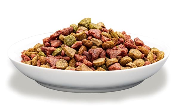 PREVITAL kissanruoka aikuisille kanan kanssa - Kissan kuivaruoka - 1,4 kg