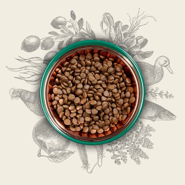 EDEN Original Cousine - torrfoder för katter - 10 kg