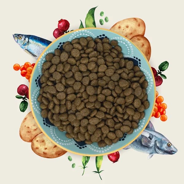 EDEN Vit fisk med sillkaviar - torr kattmat - 1,5 kg
